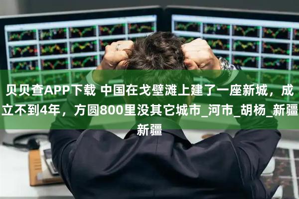 贝贝查APP下载 中国在戈壁滩上建了一座新城，成立不到4年，方圆800里没其它城市_河市_胡杨_新疆